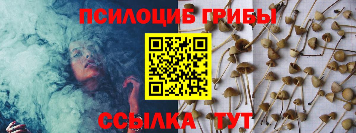 Галлюциногенные грибы Magic Shrooms Балтийск