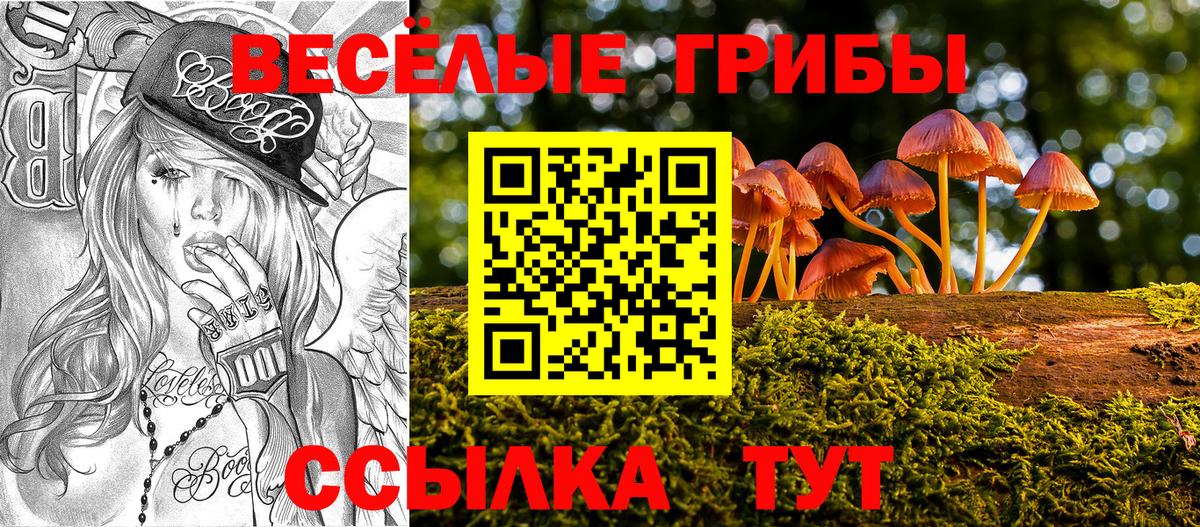 Галлюциногенные грибы мицелий  Вход с VPN  купить  сайты  Балтийск 